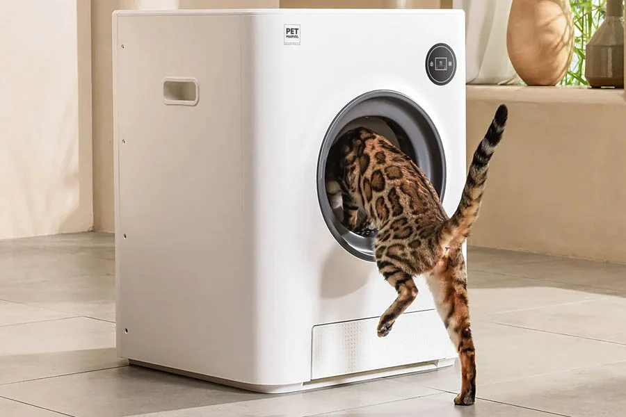 best multi cat automatic litter box